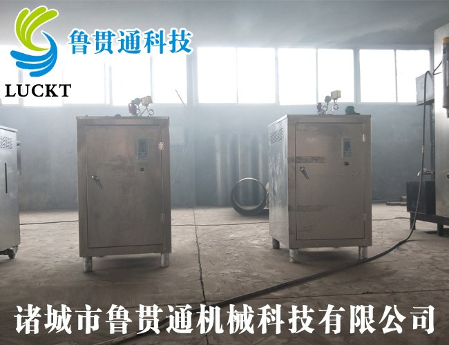 Electric heat tube steam generator