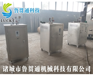 Electric heat tube boiler